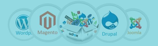 Web Application Development - Ira Soft Consultancy